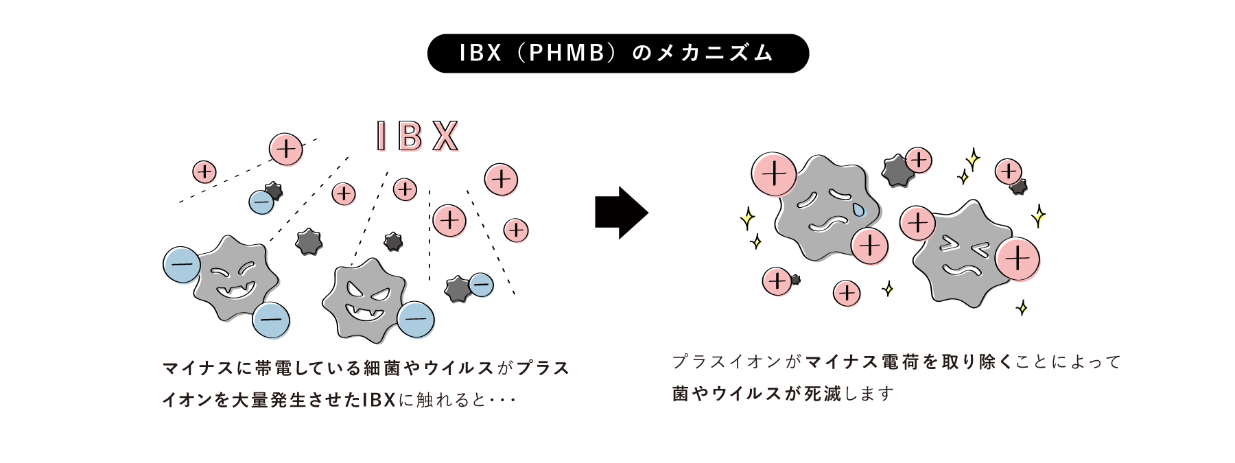 IBXのメカニズム